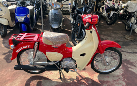 HONDA SUPER CUB50 AA09