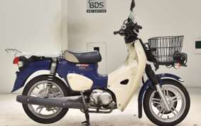 HONDA C110 SUPER CUB 2002 JA61