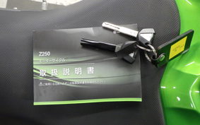 KAWASAKI Z250 Gen.2 2023 EX250Y