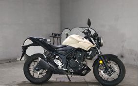 YAMAHA MT-25 RG43J