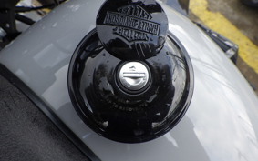 HARLEY FXLRST1920 2025