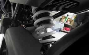 HUSQVARNA SVARTPILEN 250