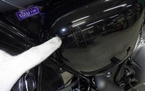 KAWASAKI W230 2024 BJ230A