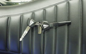 KAWASAKI Z900RS 2024