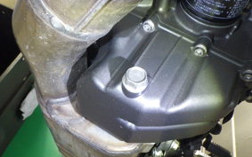 YAMAHA MT-09 2021 RN69J