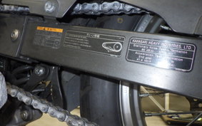 KAWASAKI VERSYS-X 250 A LE250D