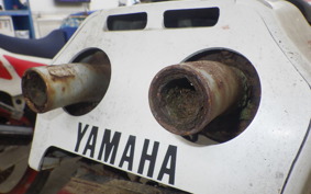 YAMAHA TZR250 3MA
