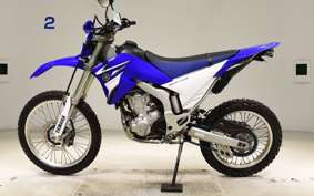 YAMAHA WR250R 2022 DG15J