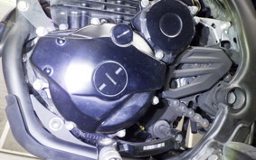 KAWASAKI KLX230 SM 2022 LX230A
