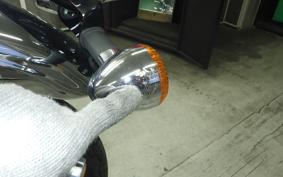 KAWASAKI W800 2021 EJ800B