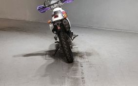 YAMAHA TT250RRAID 4GY