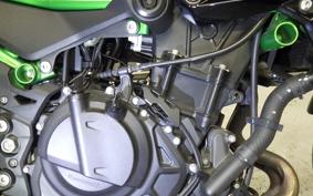 KAWASAKI Z250 Gen.2 EX250Y