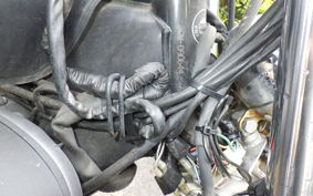 YAMAHA VIRAGO 250 3DM