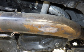 YAMAHA MAXAM 250 SG17J