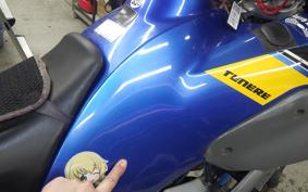 YAMAHA XT660 TENERE Z 2009