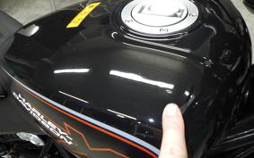 HARLEY X350 2024