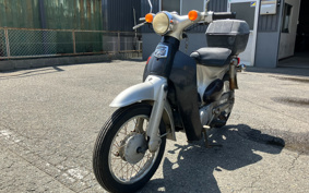 HONDA LITTLE CUB C50