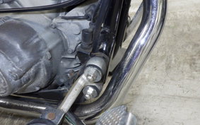 YAMAHA VIRAGO 250 2026 3DM