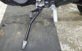 DUCATI SCRAMBLER ICON 2024