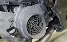 HONDA ZOOMER-X 2005 JF52