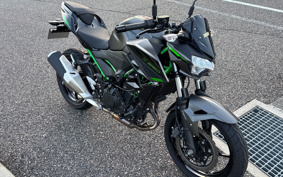 KAWASAKI Z250 EX250Y