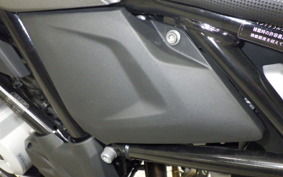 BMW G310GS 2020