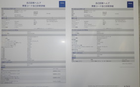 TRIUMPH TIGER 1200 RALLY 2022