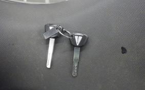 KAWASAKI NINJA 250 2022 EX250Y