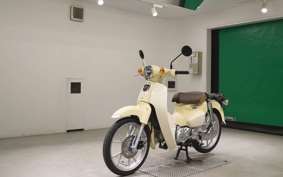 HONDA C110 SUPER CUB 2009 JA59