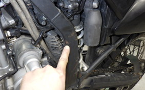 KAWASAKI KLX250 Gen.2 2025 LX250S