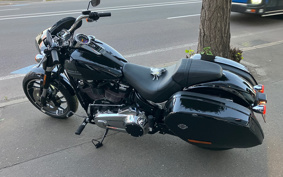 HARLEY  HARLEY FLSB 2025 YMJ