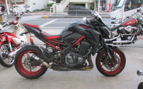 KAWASAKI Z900 2019 ZR900B