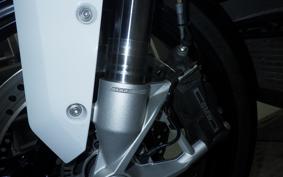 BMW S1000XR 2021