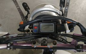 YAMAHA TT250RRAID 4GY