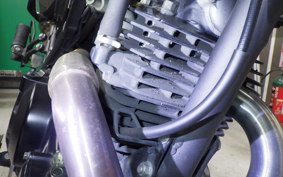 KAWASAKI KLX230 SM 2022 LX230A