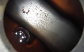 HONDA MONKEY 2007 Z50J