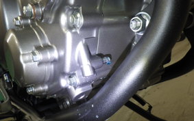 HONDA CRF250L 2020 MD47