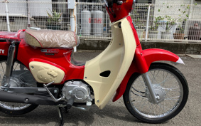 HONDA SUPER CUB50 AA09
