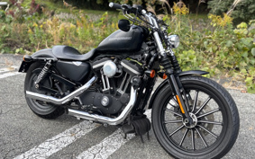 HARLEY HARLEY XL883N 2009 LE2