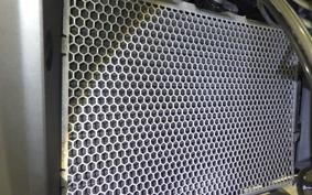 TRIUMPH TIGER 800 XC 2015