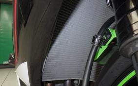 KAWASAKI NINJA ZX-6R A 2021 ZX636G