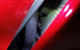 HONDA CBR1100XX 2000