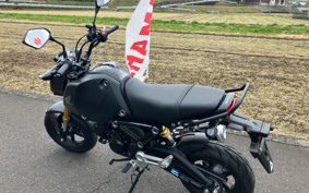 HONDA GROM JC92