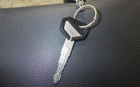 KAWASAKI KLX250D TRACKER X LX250V