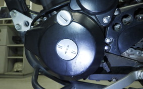 KAWASAKI KLX250D TRACKER X 2021 LX250V