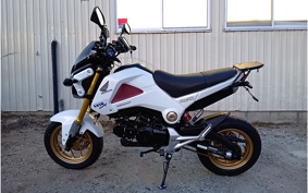 HONDA GROM JC61