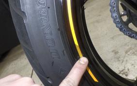 KAWASAKI NINJA 250 2022 EX250Y