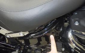 HARLEY FLSB 1750 2025