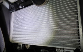 KAWASAKI NINJA 250 ABS 2024 EX250L