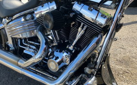 HARLEY FXCWC 2009 JK5